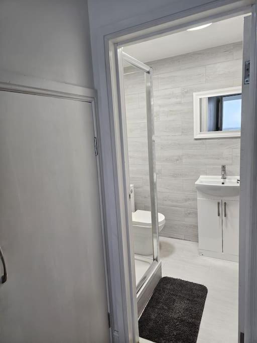 Beautiful Garden Flat Near Central London Exterior photo